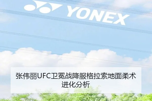 张伟丽UFC卫冕战降服格拉索地面柔术进化分析